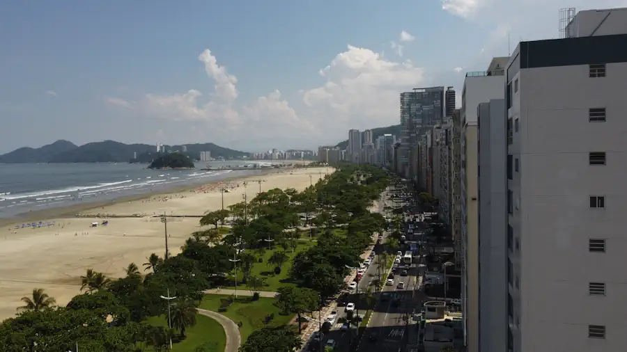 Planta 11